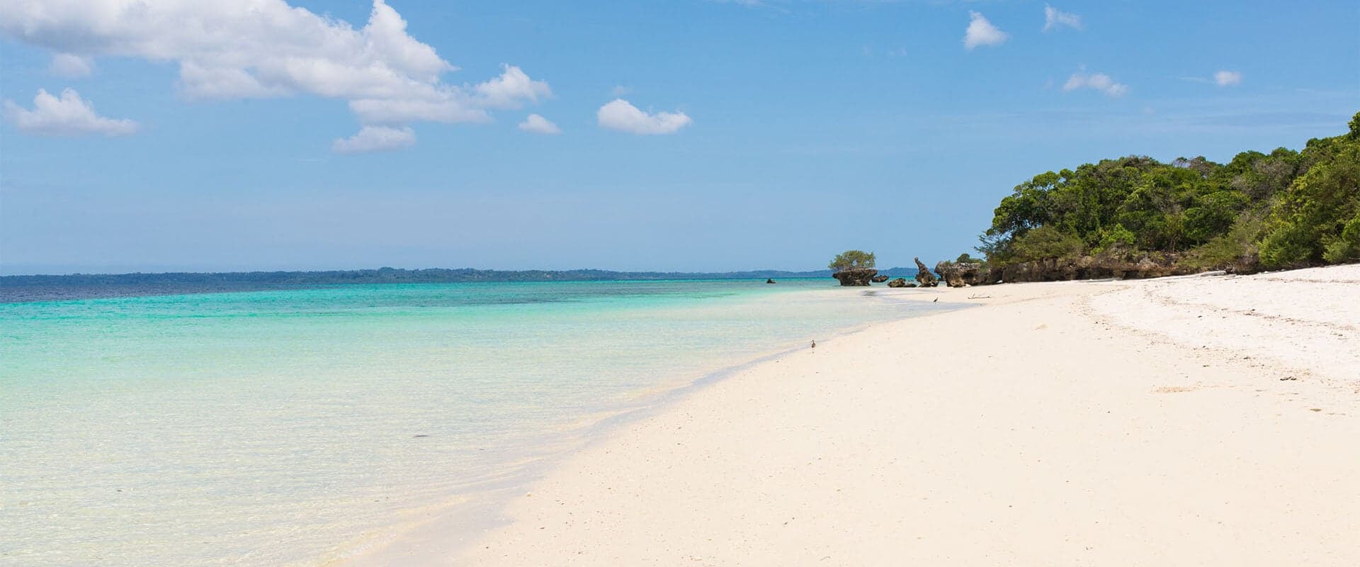 6 Days Pemba Island (safari extension)