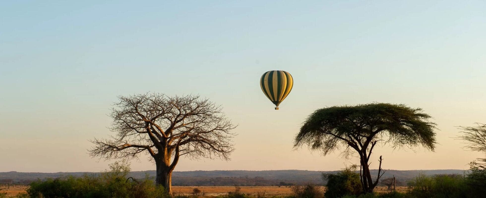 9 Days Safari Mikumi + Ruaha + Nyerere