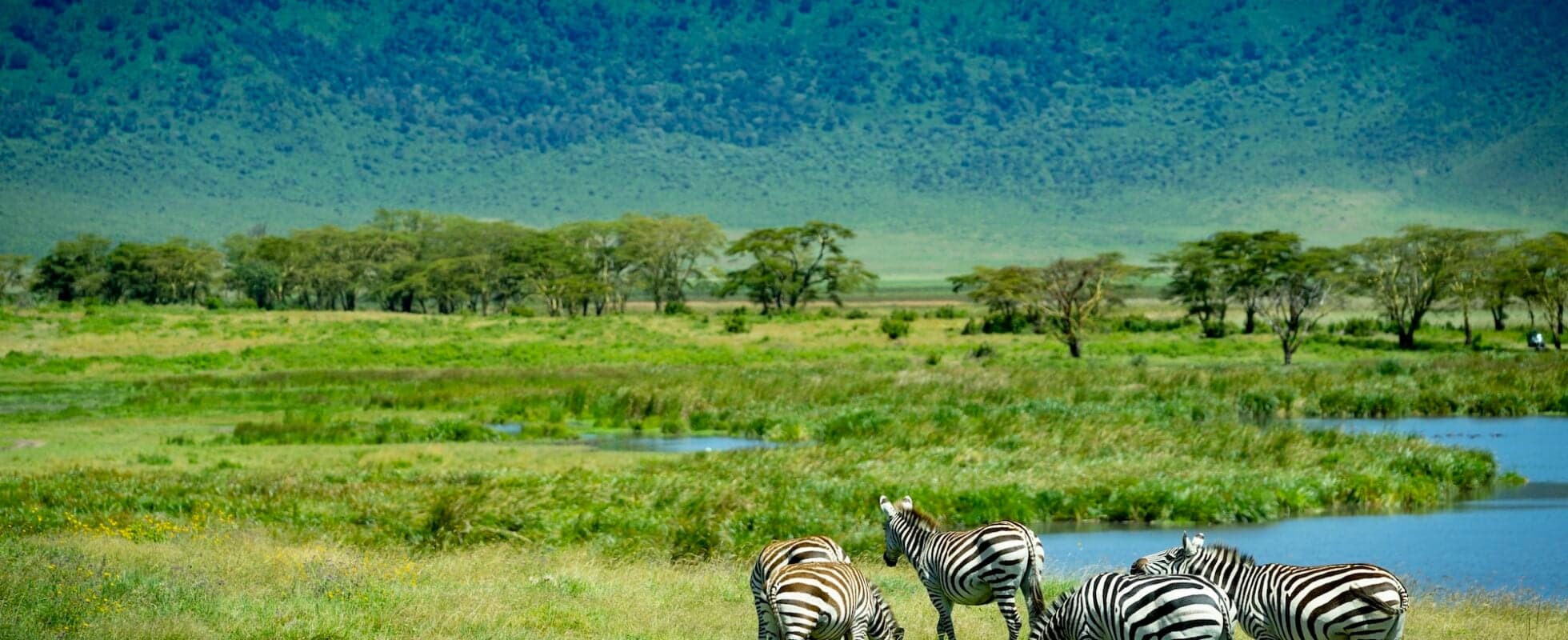 4-day Tanzania Safari extension