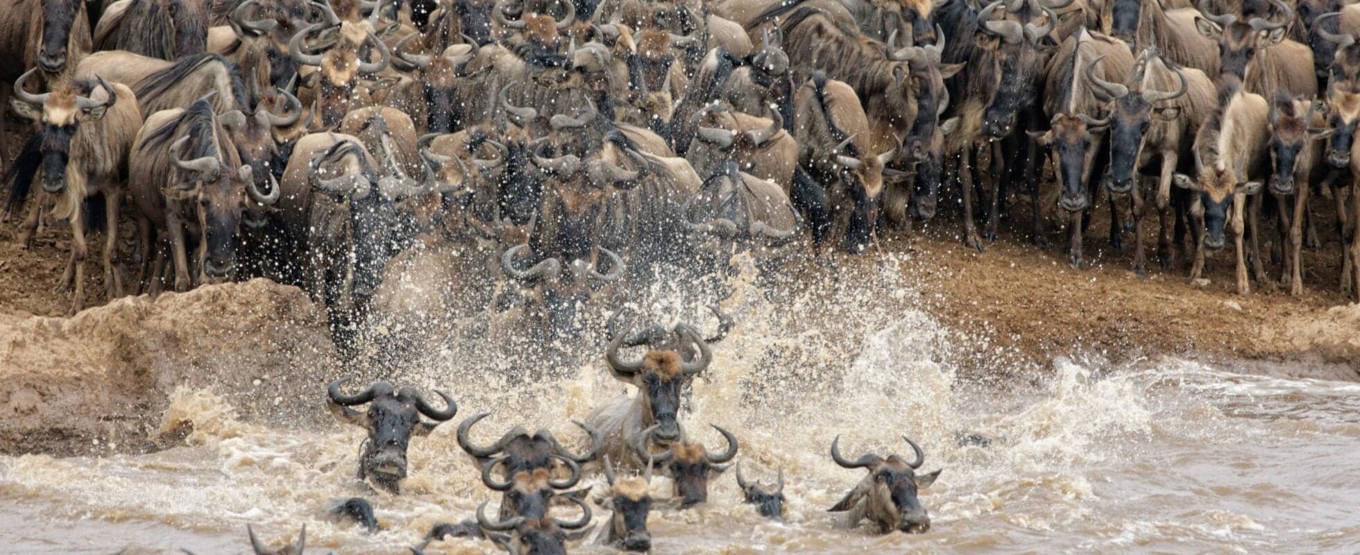 9 days safari [a chance to see the Wildebeest Migration and the famous Mara River crossing]