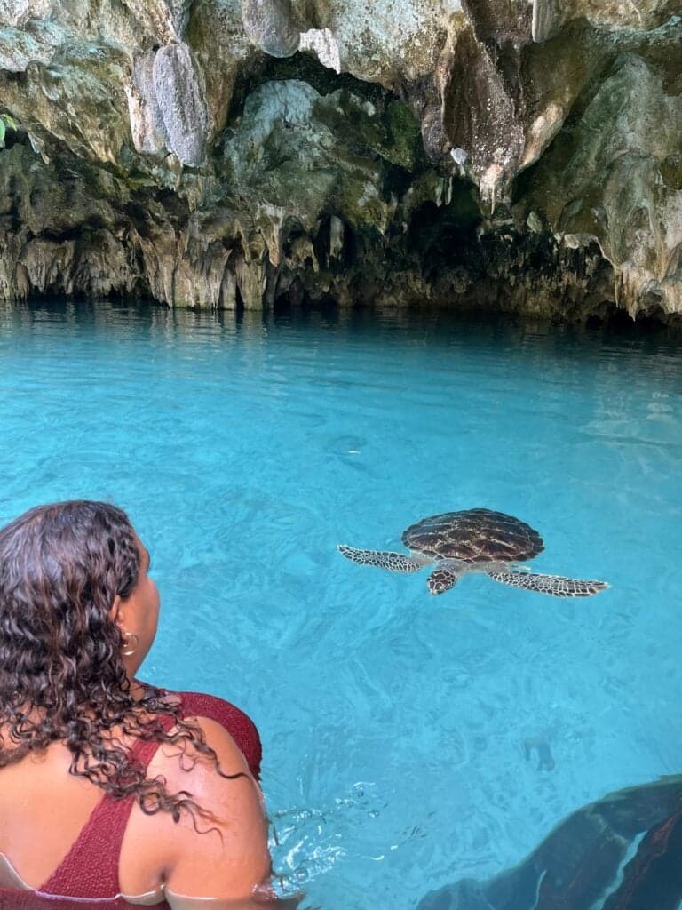 Salaam Cave Turtle Sanctuary