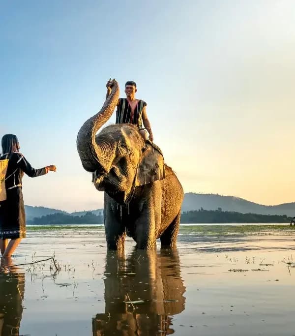 Guía en Español guide