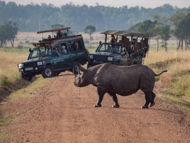 Conservation Species