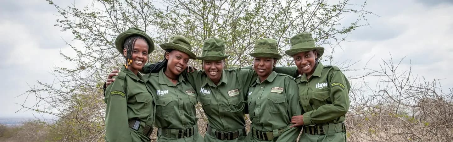 Guia en Espanol travel team