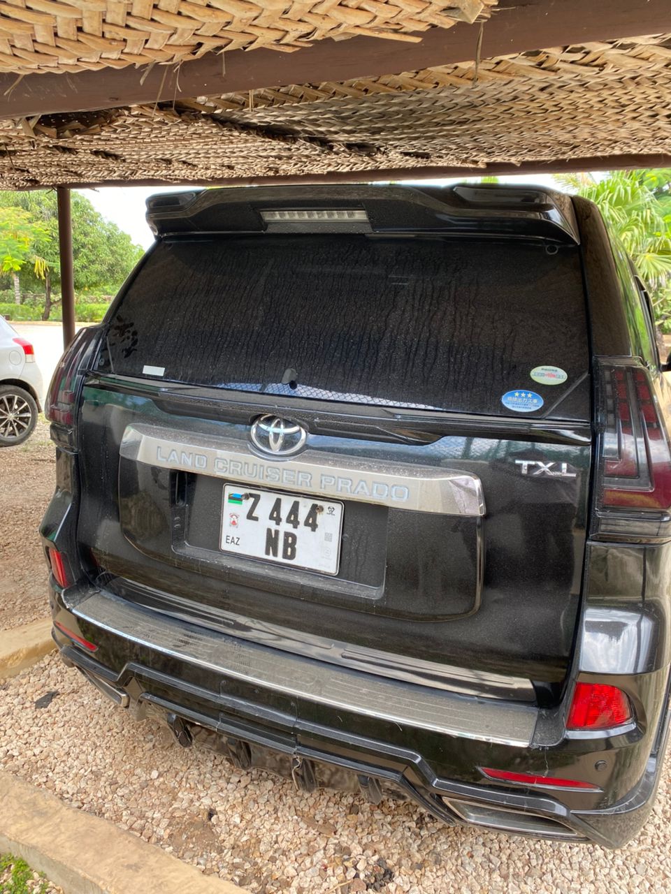 Toyota Prado Back View