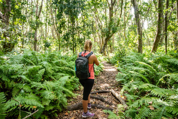 Jozani Forest hiking