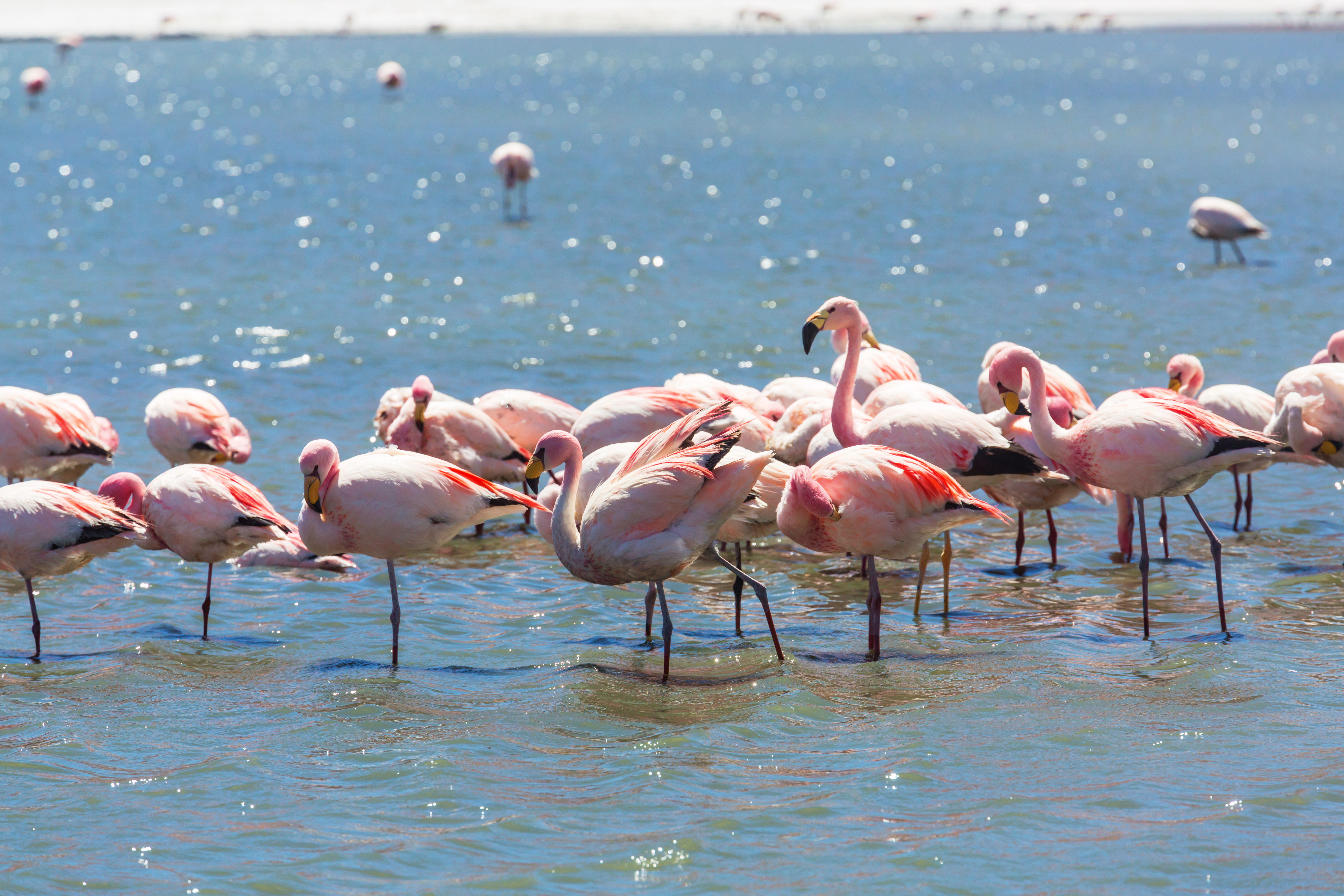 Lake Manyara