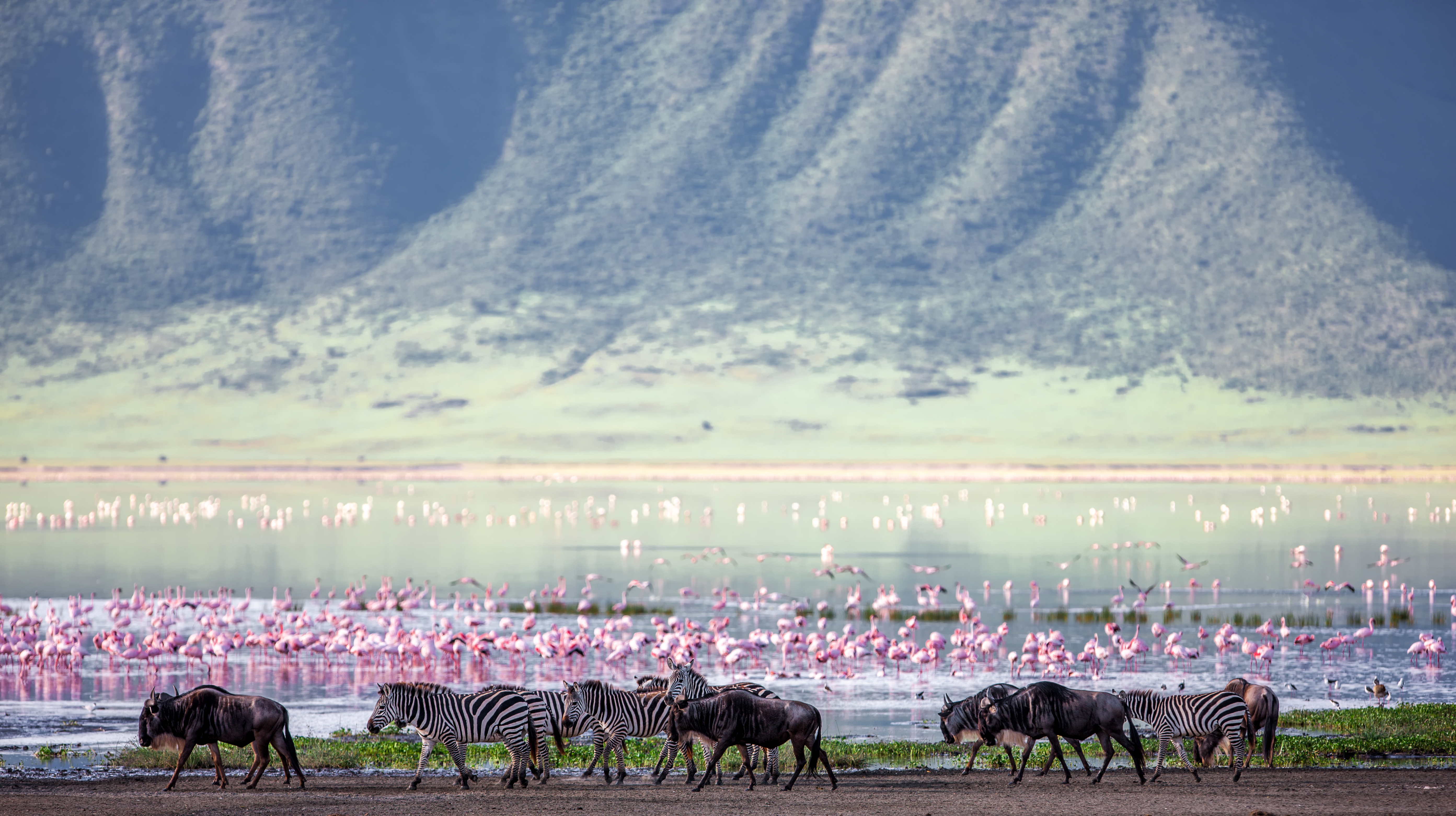 Ngorongoro