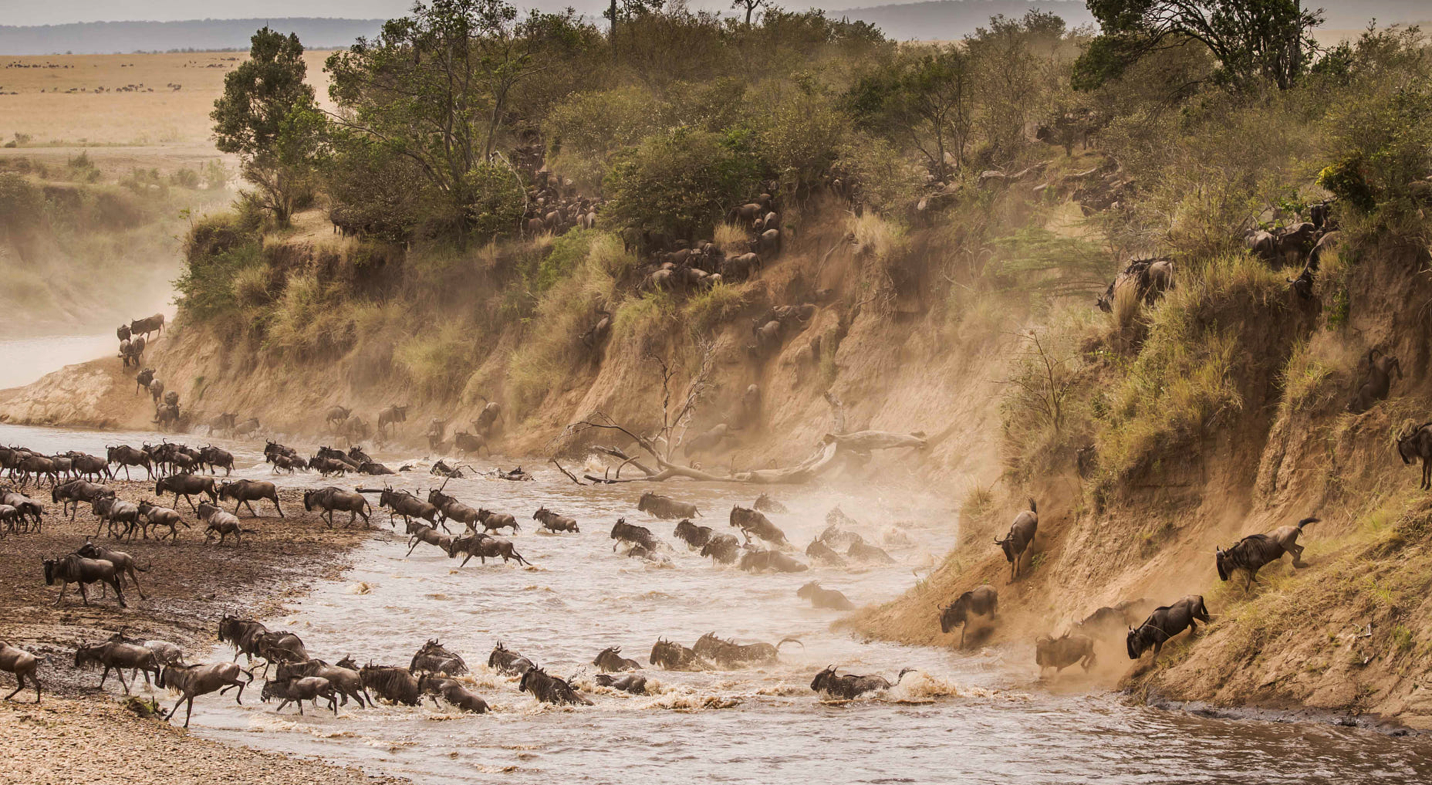 Serengeti